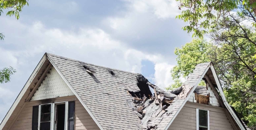 damaged roof from a tree