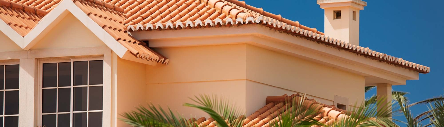 Tiled roof of a large house